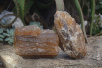 Natural Honey Aragonite Etched & Cobbed Pieces  x 2 From Namibia - Toprock Gemstones and Minerals 