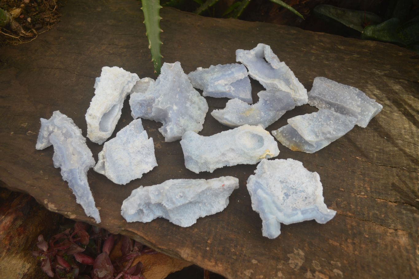 Natural Etched Blue Chalcedony Specimens x 12 From Nsanje, Malawi - Toprock Gemstones and Minerals 