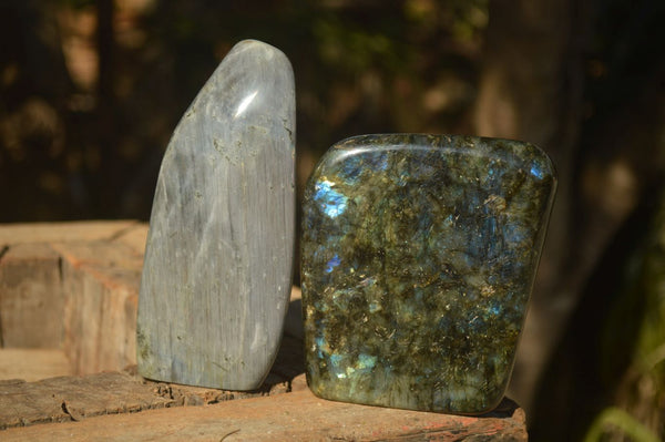 Polished Labradorite Standing Free Forms With Purple & Blue Flash  x 2 From Tulear, Madagascar - Toprock Gemstones and Minerals 