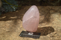 Polished Pink Rose Quartz Standing Free Forms x 2 From Ambatondrazaka, Madagascar - TopRock