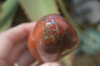 Polished Red Flame Jasper Standing Free Forms  x 6 From Madagascar - Toprock Gemstones and Minerals 
