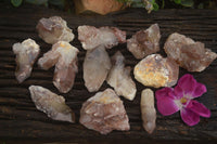 Natural Red Hematoid Quartz Specimens x 12 From Karoi, Zimbabwe - TopRock