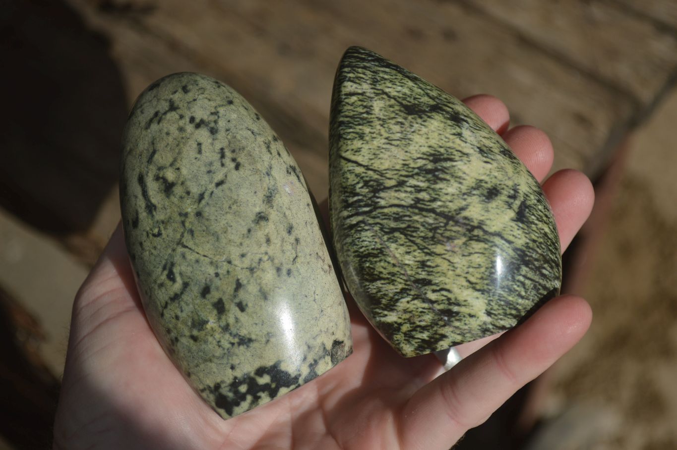 Polished Leopard Stone Standing Free Forms x 6 From Zimbabwe - Toprock Gemstones and Minerals 
