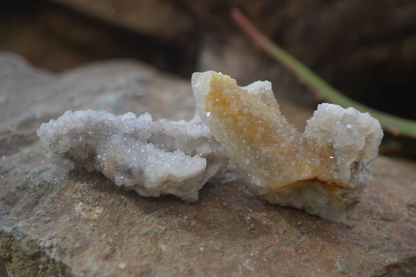 Natural Mixed Spirit Quartz Specimens x 55 From Boekenhouthoek, South Africa - Toprock Gemstones and Minerals 