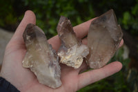 Natural Red Hematoid Quartz Specimens x 12 From Karoi, Zimbabwe - TopRock