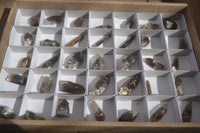 Natural Clear Smokey Quartz Crystals x 35 From Malawi - Toprock Gemstones and Minerals 