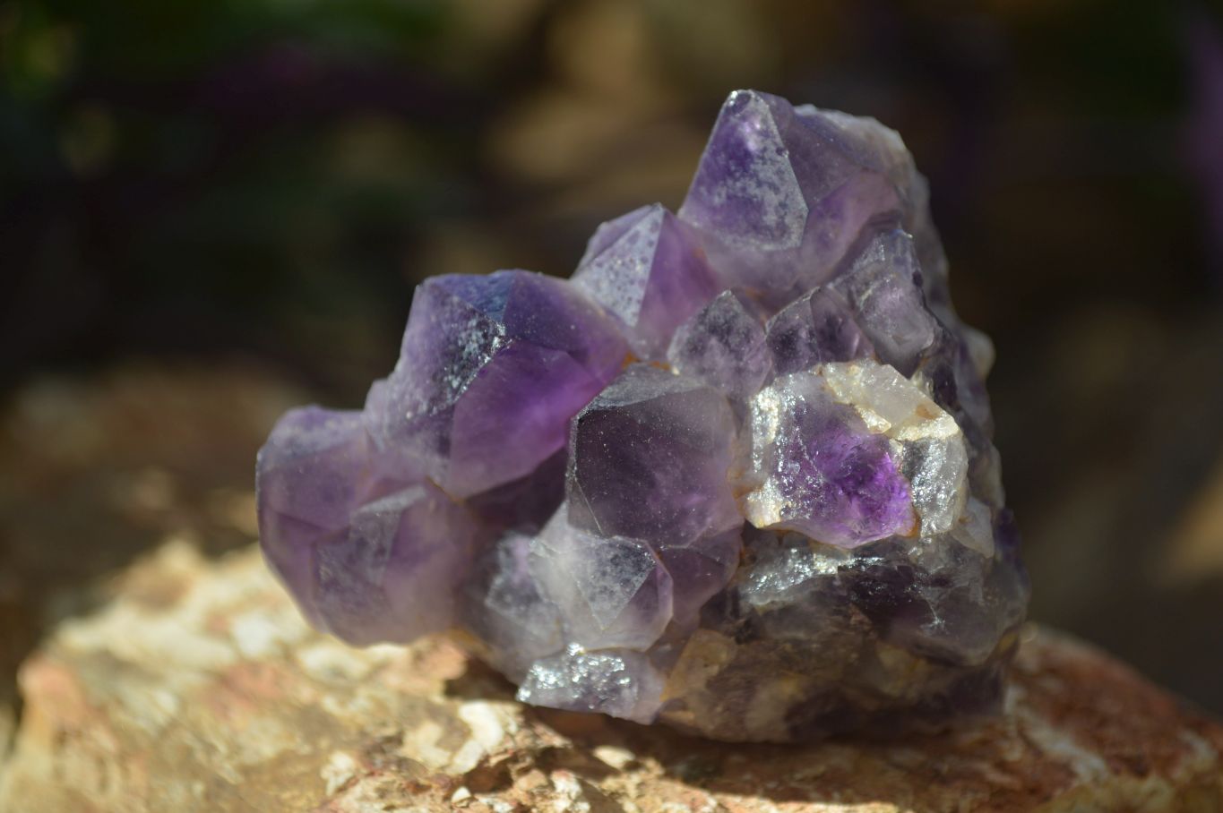 Natural Dark Amethyst Crystal Clusters x 12 From Zambia - Toprock Gemstones and Minerals 