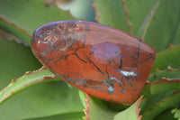 Polished Red Flame Jasper Standing Free Forms  x 6 From Madagascar - Toprock Gemstones and Minerals 