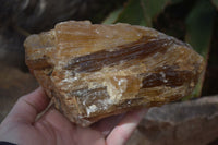 Natural Honey Aragonite Etched & Cobbed Pieces  x 2 From Namibia - Toprock Gemstones and Minerals 