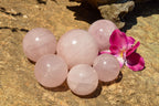 Polished Gemmy Pink Rose Quartz Spheres  x 6 From Ambatondrazaka, Madagascar - TopRock