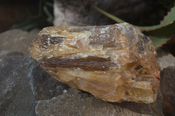 Natural Honey Aragonite Etched & Cobbed Pieces  x 2 From Namibia - Toprock Gemstones and Minerals 