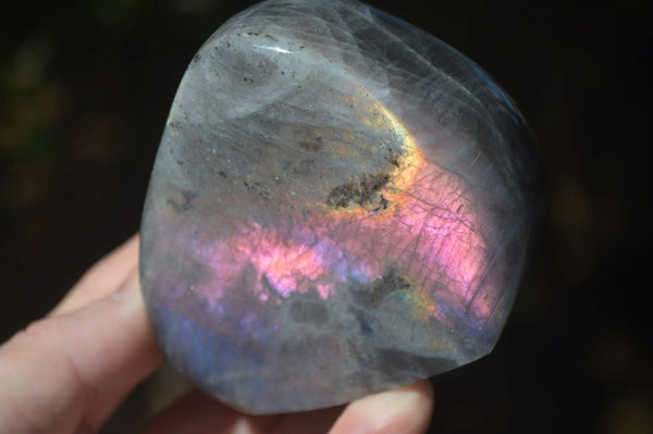 Polished Rare Purple Flash Labradorite Standing Free Forms  x 2 From Tulear, Madagascar - Toprock Gemstones and Minerals 