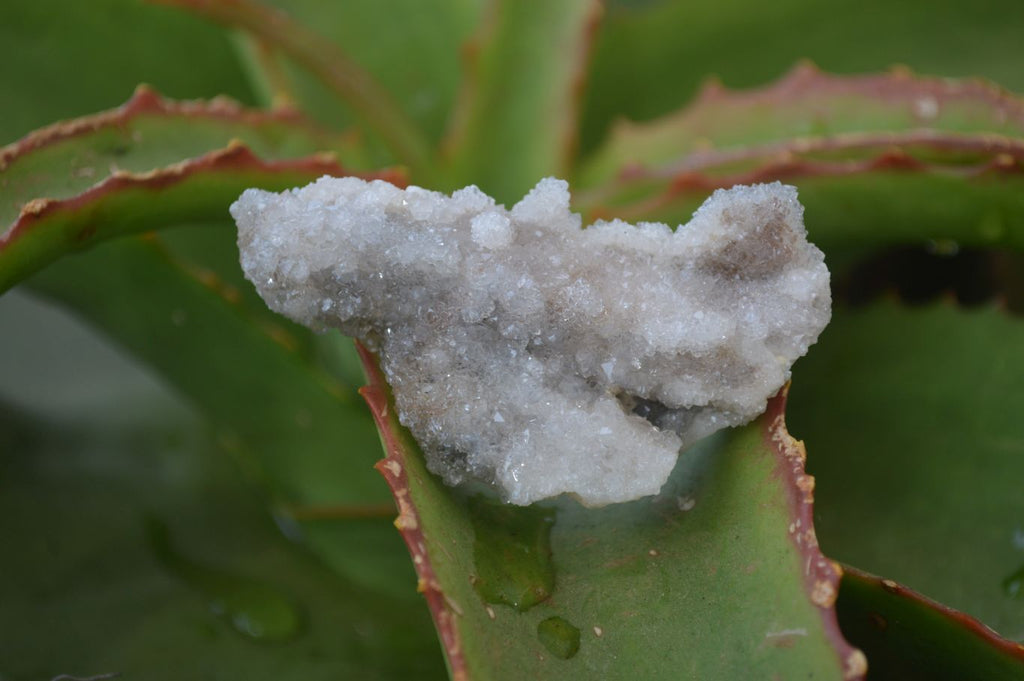 Natural Mixed Spirit Quartz Specimens x 55 From Boekenhouthoek, South Africa - Toprock Gemstones and Minerals 