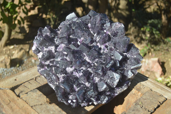 Natural Unique Extra Large Amethyst With Cubic Crystal Formation  x 1 From Zambia - Toprock Gemstones and Minerals 