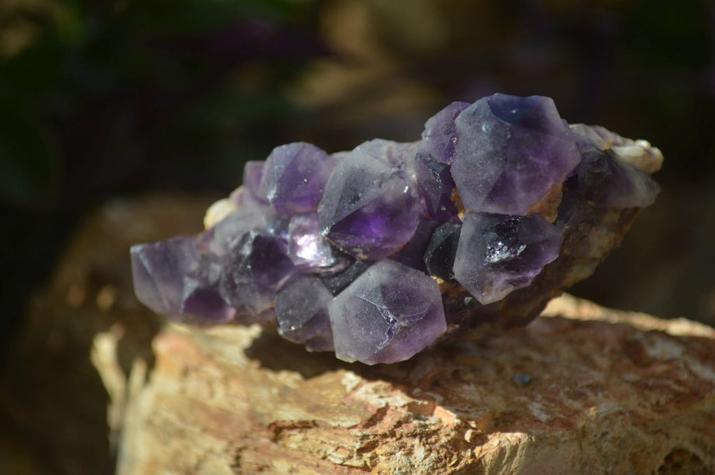 Natural Dark Amethyst Crystal Clusters x 12 From Zambia - Toprock Gemstones and Minerals 