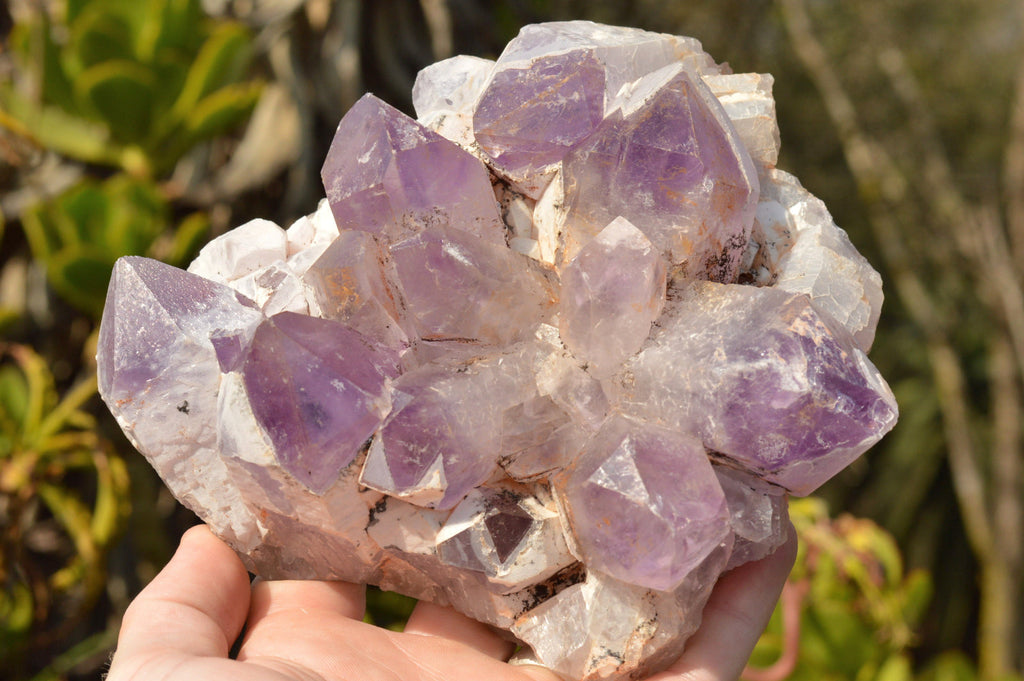 Natural Jacaranda Amethyst Quartz Clusters  x 2 From Mambwe, Zambia - TopRock