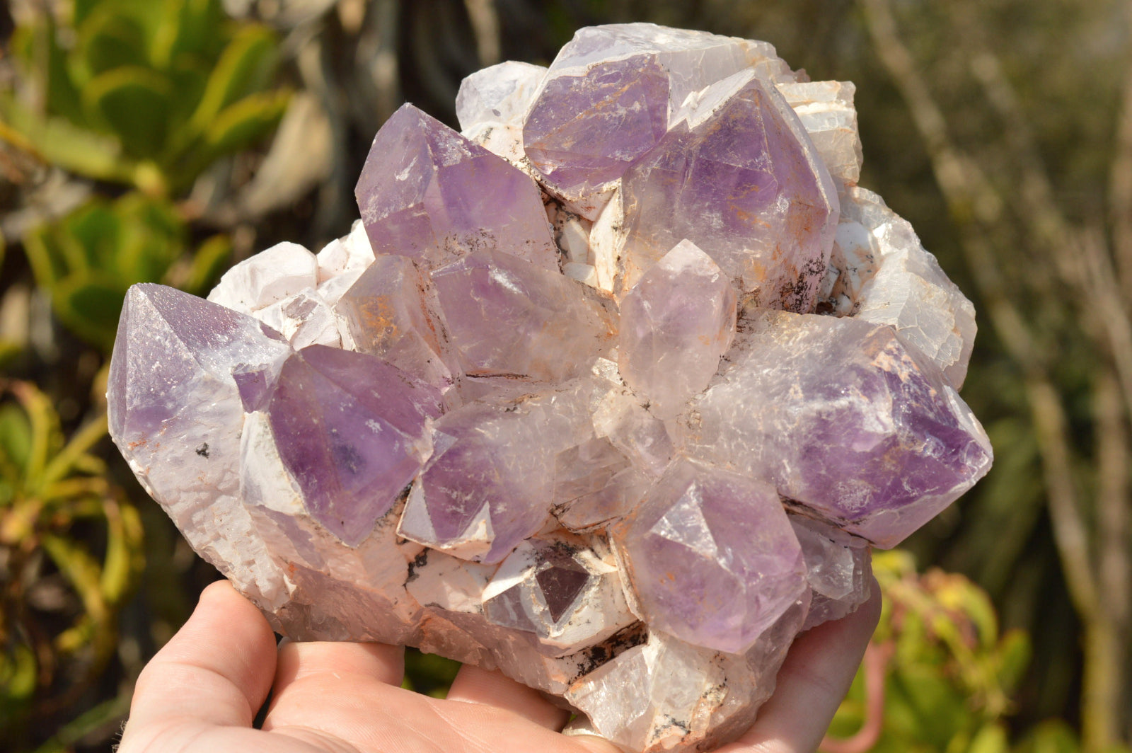 Natural Jacaranda Amethyst Quartz Clusters  x 2 From Mambwe, Zambia - TopRock