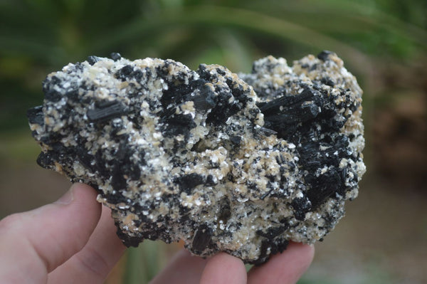 Natural Schorl Black Tourmaline Specimens x 2 From Erongo Mountains, Namibia - TopRock