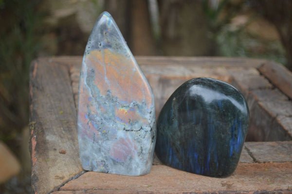 Polished Labradorite Standing Free Forms With Purple & Blue Flash  x 2 From Tulear, Madagascar - Toprock Gemstones and Minerals 