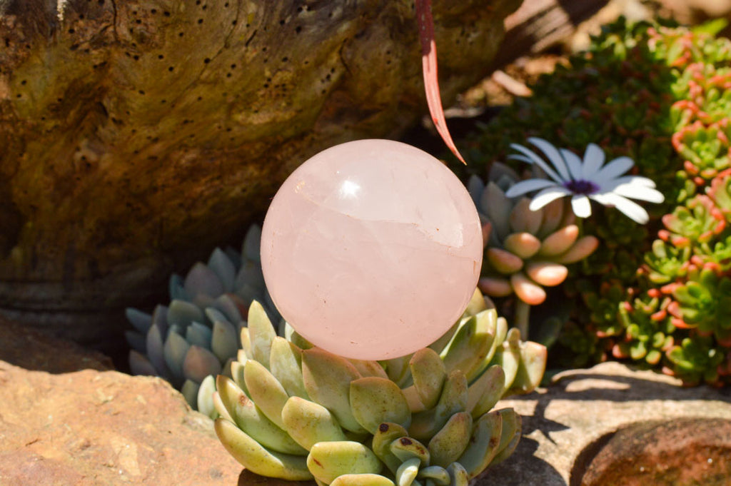 Polished Gemmy Pink Rose Quartz Spheres  x 6 From Ambatondrazaka, Madagascar - TopRock
