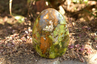 Polished Green Opal Standing Free Form  x 1 From Antsirabe, Madagascar - TopRock