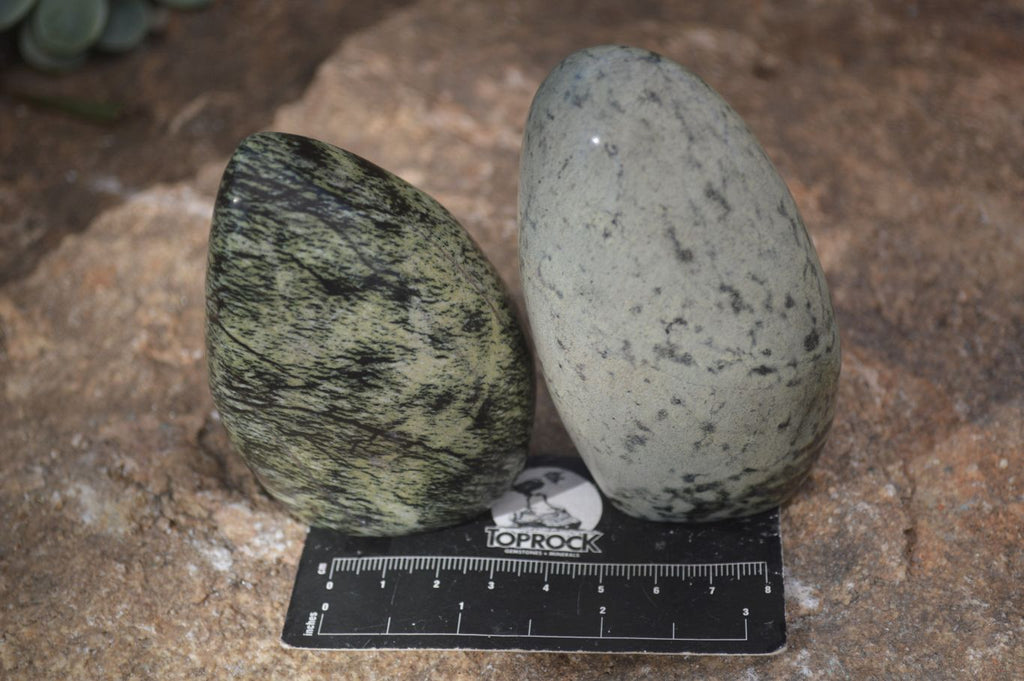 Polished Leopard Stone Standing Free Forms x 6 From Zimbabwe - Toprock Gemstones and Minerals 
