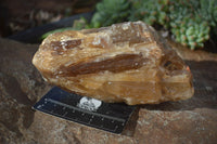 Natural Honey Aragonite Etched & Cobbed Pieces  x 2 From Namibia - Toprock Gemstones and Minerals 