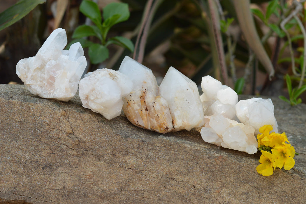 Natural Multi Terminated White Quartz Clusters  x 6 From Madagascar - TopRock
