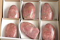 Polished Pink Rhodonite Standing Free Forms  x 6 From Madagascar - TopRock