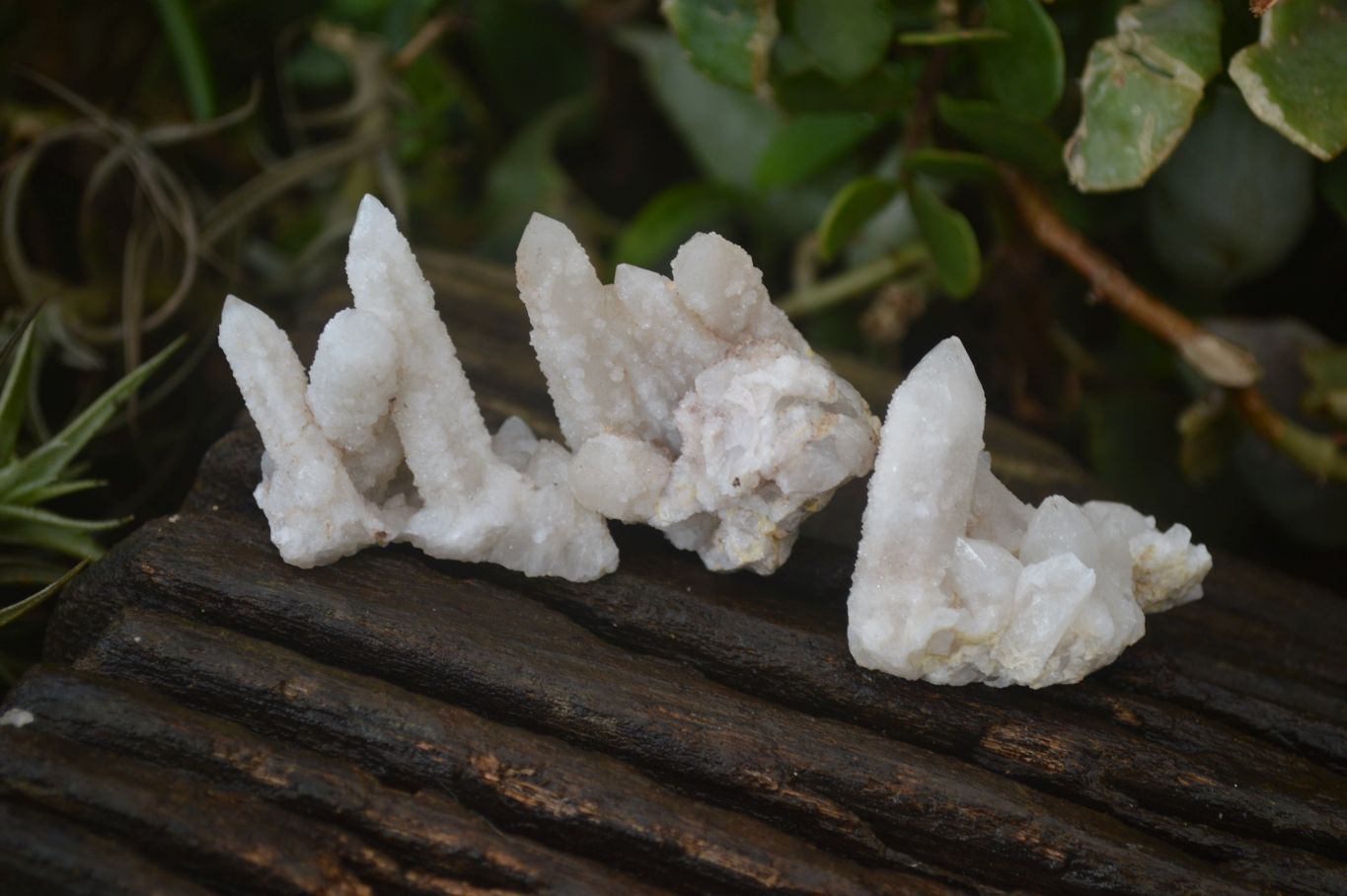 Natural Mixed Spirit Quartz Specimens x 55 From Boekenhouthoek, South Africa - Toprock Gemstones and Minerals 