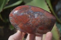Polished Red Flame Jasper Standing Free Forms  x 6 From Madagascar - Toprock Gemstones and Minerals 
