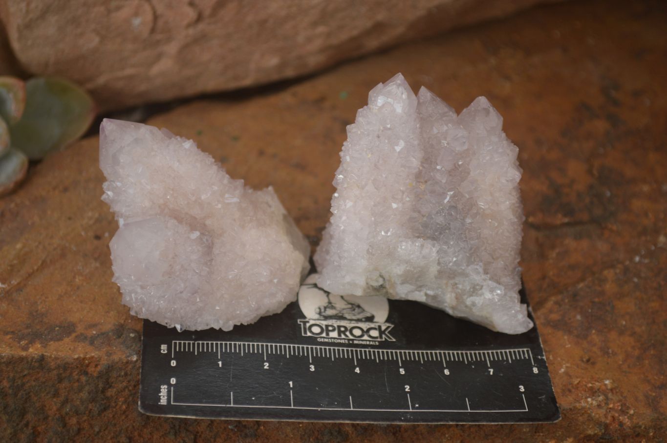 Natural Pale Lilac Spirit Quartz Clusters x 12 From Boekenhouthoek, South Africa - Toprock Gemstones and Minerals 