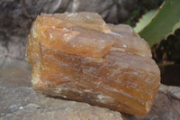 Natural Honey Aragonite Etched & Cobbed Pieces  x 2 From Namibia - Toprock Gemstones and Minerals 