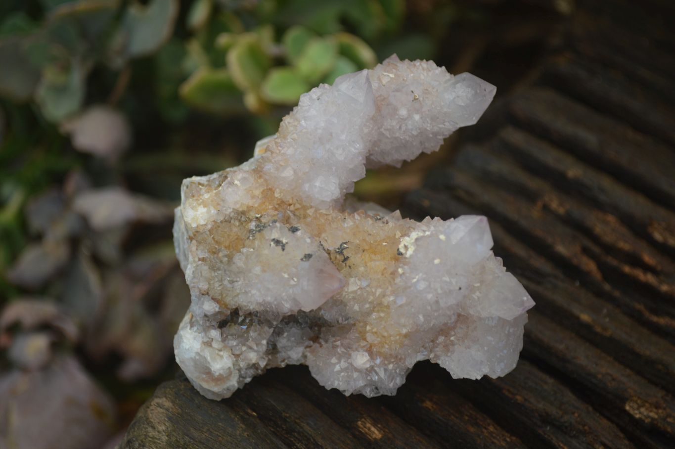 Natural Spirit Amethyst Quartz Clusters x 3 From Boekenhouthoek, South Africa - Toprock Gemstones and Minerals 