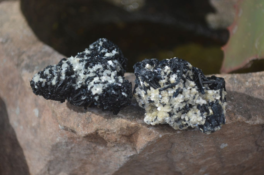 Natural Schorl Black Tourmaline Specimens x 35 From Erongo, Namibia - Toprock Gemstones and Minerals 