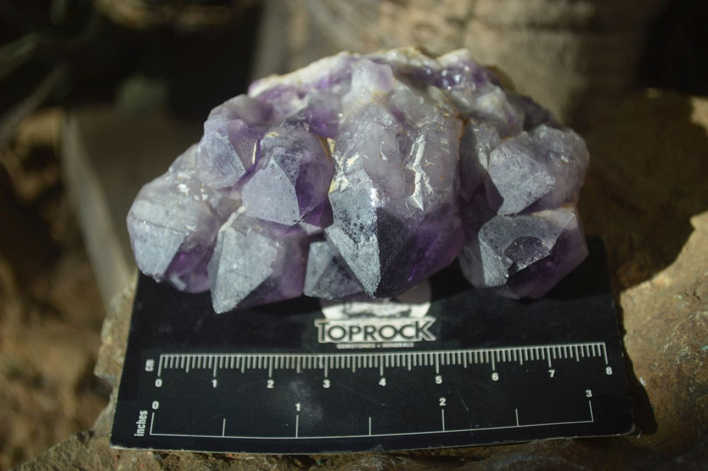 Natural Dark Amethyst Crystal Clusters x 12 From Zambia - Toprock Gemstones and Minerals 