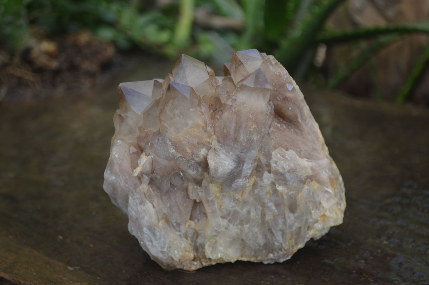 Natural Cascading White Phantom Smokey Quartz Clusters  x 2 From Luena, Congo - Toprock Gemstones and Minerals 