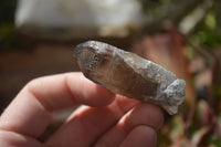 Natural Clear Smokey Quartz Crystals x 35 From Malawi - Toprock Gemstones and Minerals 