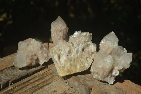 Natural Cascading White Phantom Smokey Quartz Clusters  x 3 From Luena, Congo - Toprock Gemstones and Minerals 