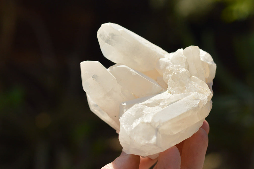Natural Multi Terminated White Quartz Clusters  x 6 From Madagascar - TopRock