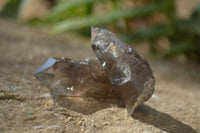 Natural Clear Smokey Quartz Crystals x 35 From Malawi - Toprock Gemstones and Minerals 