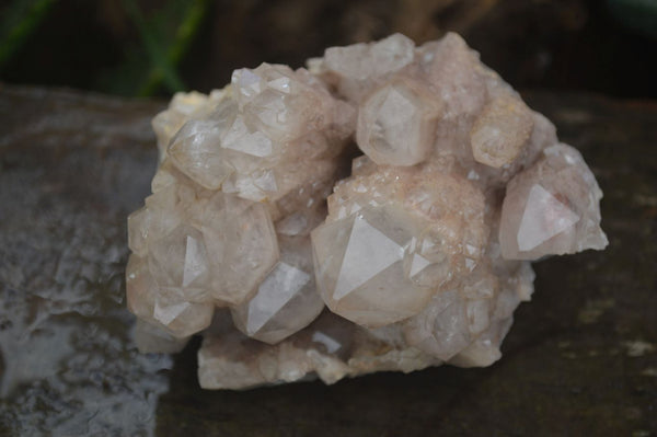 Natural Cascading White Phantom Smokey Quartz Clusters  x 2 From Luena, Congo - Toprock Gemstones and Minerals 