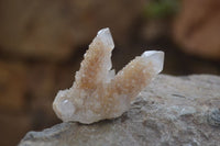 Natural Mixed Spirit Quartz Specimens x 55 From Boekenhouthoek, South Africa - Toprock Gemstones and Minerals 