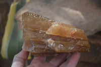 Natural Honey Aragonite Etched & Cobbed Pieces  x 2 From Namibia - Toprock Gemstones and Minerals 