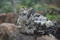 Natural Schorl Black Tourmaline Specimens x 2 From Erongo Mountains, Namibia - TopRock