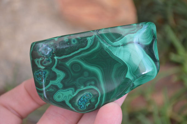 Polished Flower Banded Malachite Free Forms  x 6 From Congo - Toprock Gemstones and Minerals 