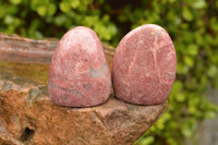 Polished Pink Rhodonite Standing Free Forms  x 6 From Madagascar - TopRock