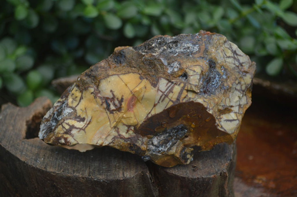 Natural Mixed Selection Of Rough Specimens  x 6 From Southern Africa - Toprock Gemstones and Minerals 