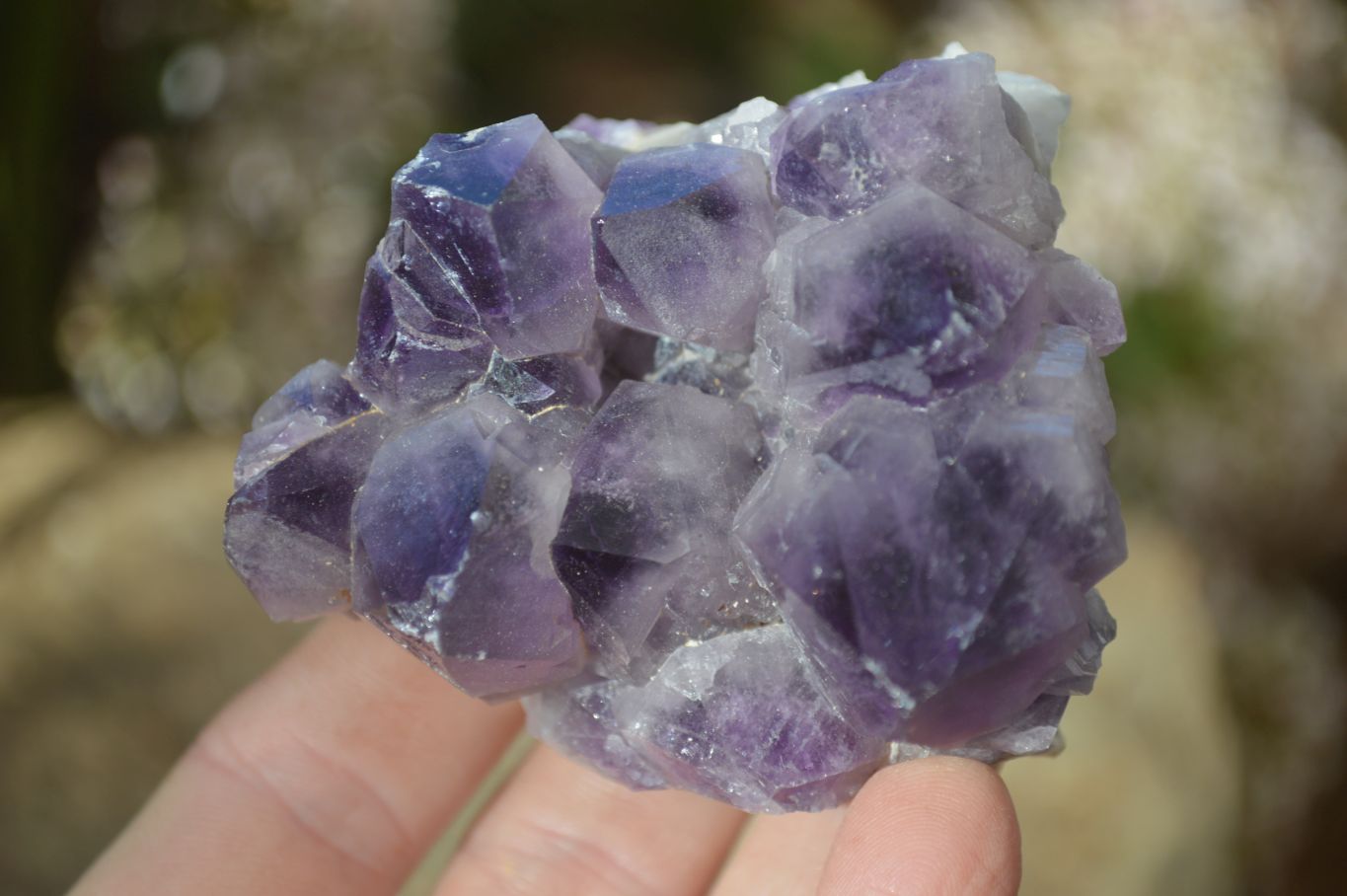 Natural Dark Amethyst Crystal Clusters x 12 From Zambia - Toprock Gemstones and Minerals 