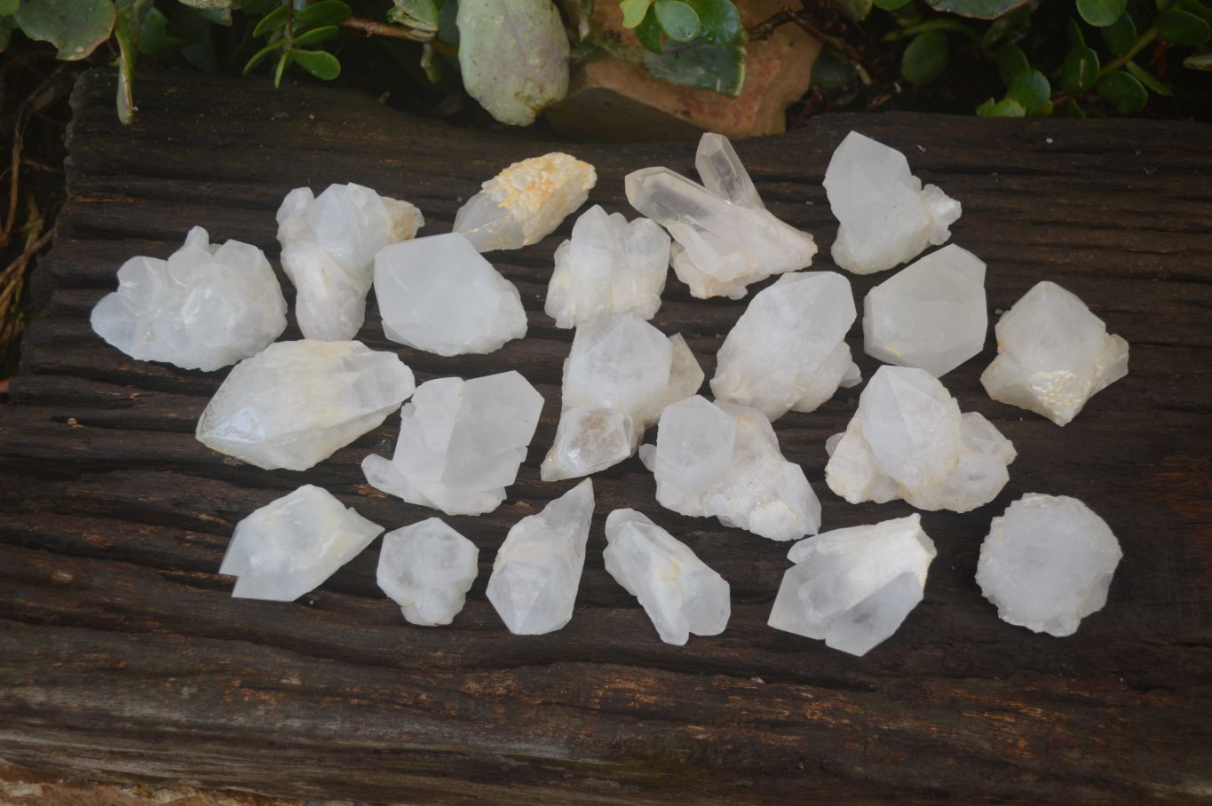 Natural Pineapple Candle Quartz Crystals  x 35 From Madagascar - Toprock Gemstones and Minerals 